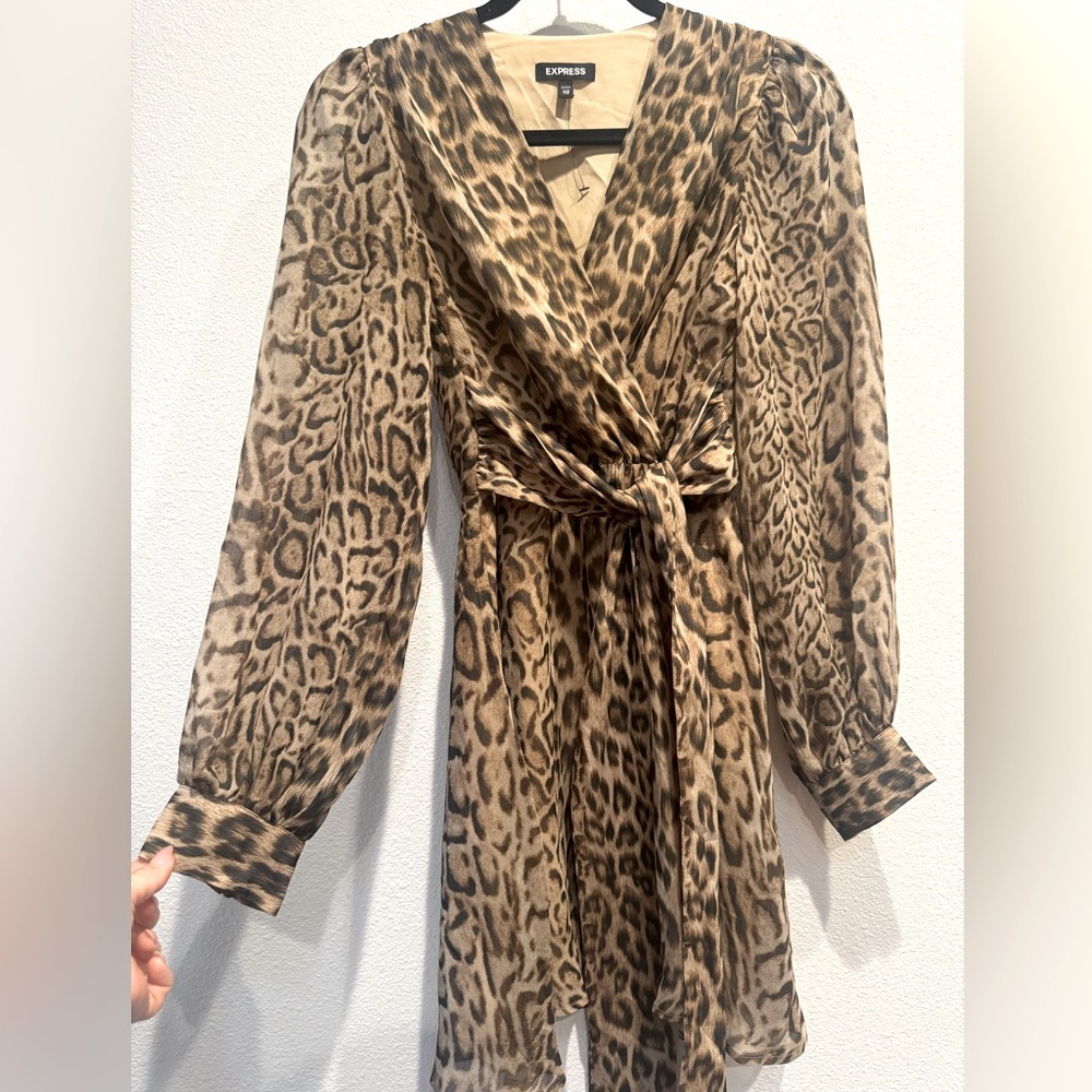 Express mini long sleeve dress